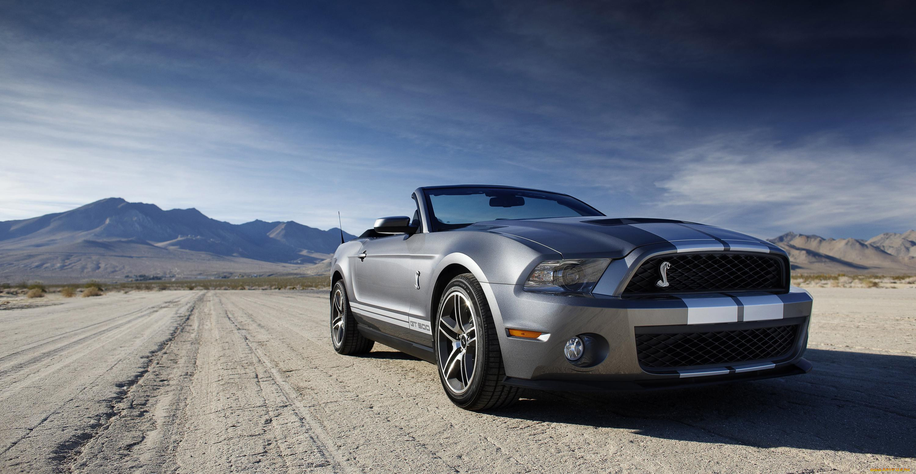 , mustang, , , , , , , , 